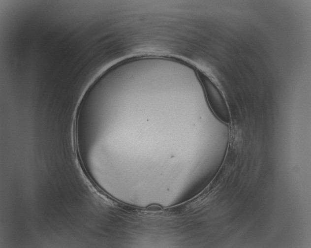 X0000073451295200608181229