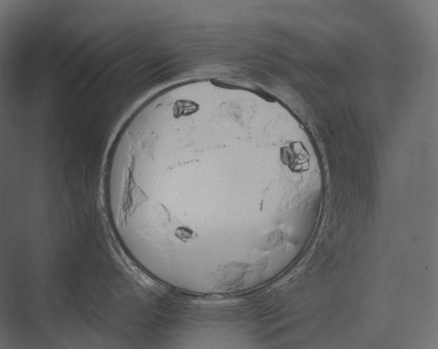 X0000073451296200608181229