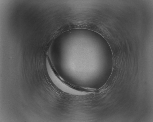 X0000073451298200608181228