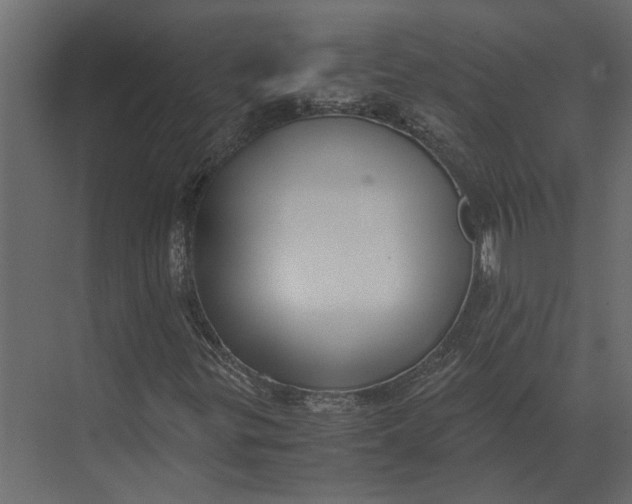 X0000073451299200608181228