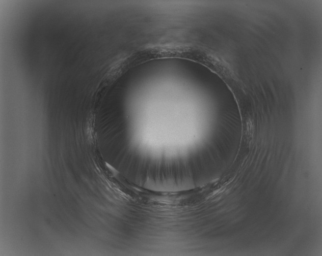 X0000073451300200608181228