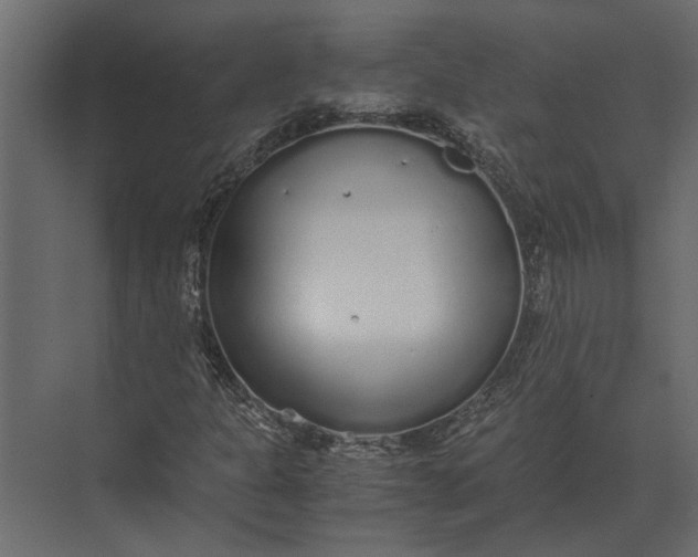 X0000073451301200608181228