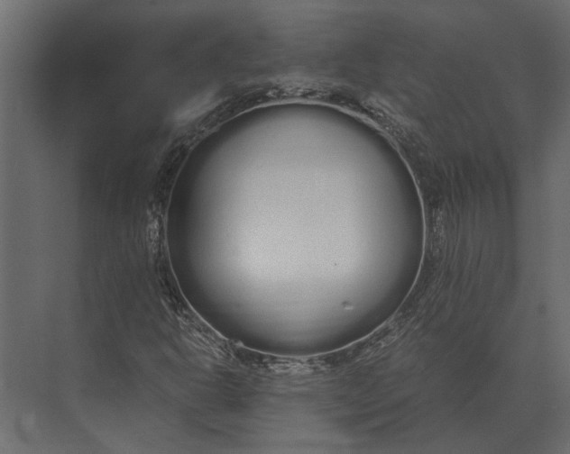 X0000073451302200608181228