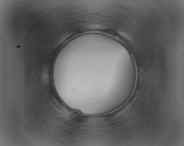 X0000073451305200608181228