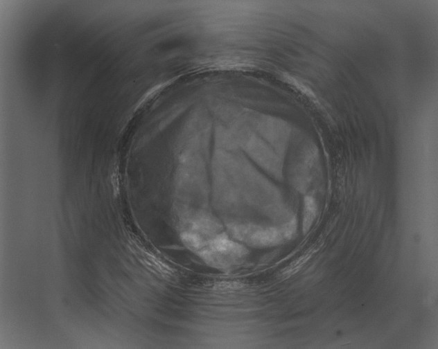 X0000073451306200608181228