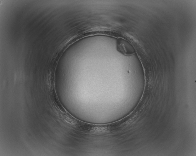 X0000073451313200608181228