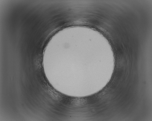 X0000073451314200608181228