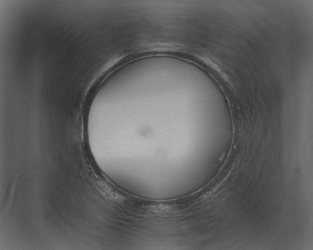 X0000073451317200608181228