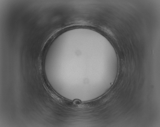 X0000073451318200608181228