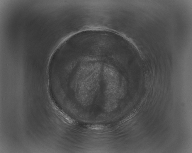 X0000073451319200608181228