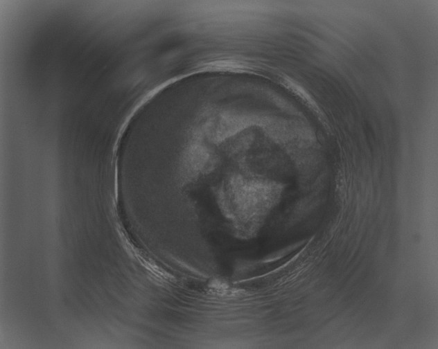 X0000073451323200608181228