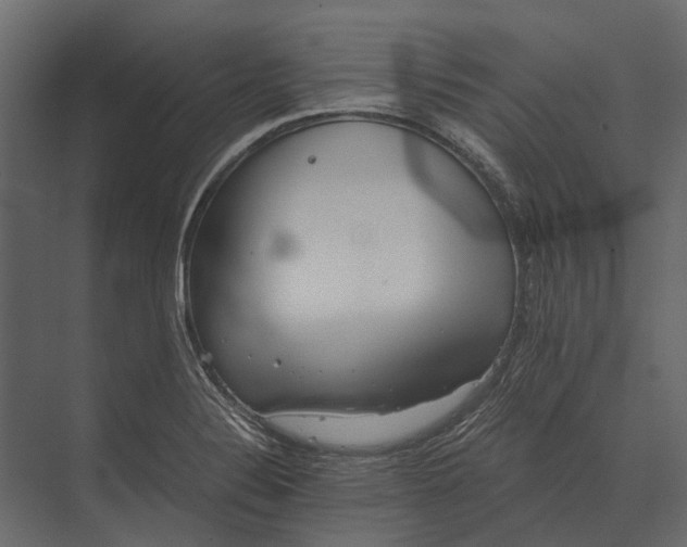 X0000073451324200608181228