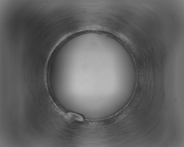 X0000073451326200608181228