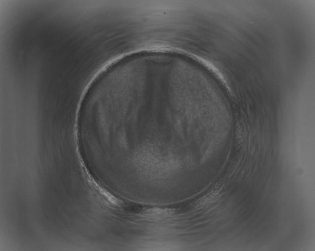 X0000073451327200608181228