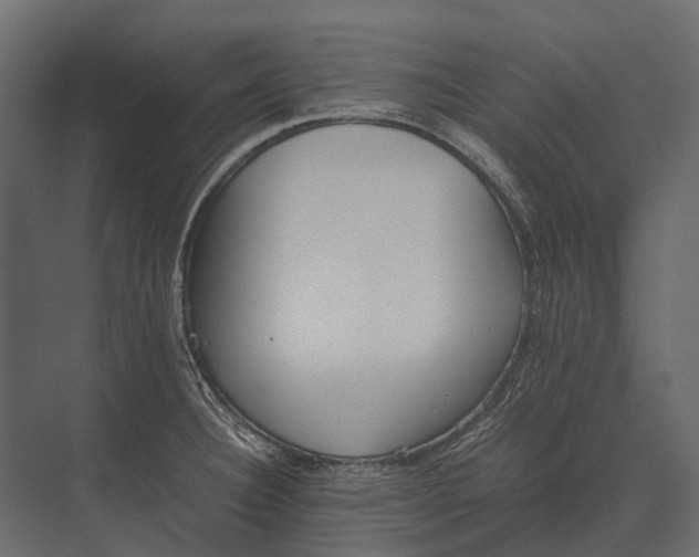 X0000073451332200608181229