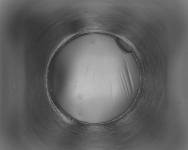 X0000073451333200608181229