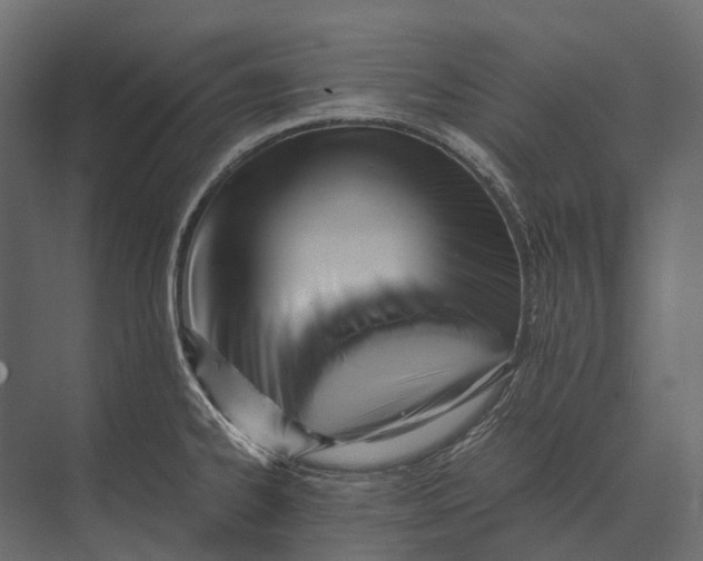 X0000073451334200608181229