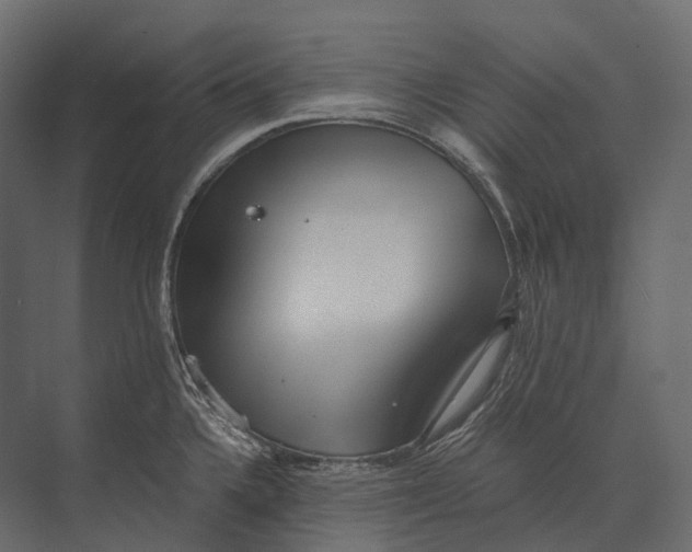 X0000073451336200608181229