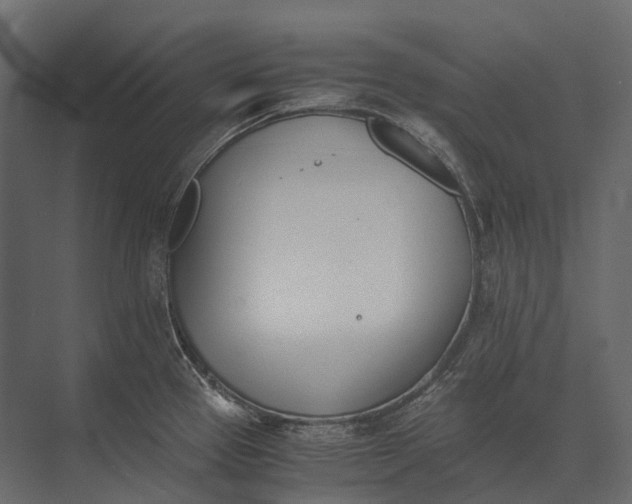 X0000073451337200608181229