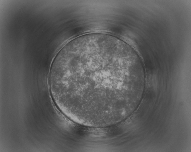 X0000073451338200608181229