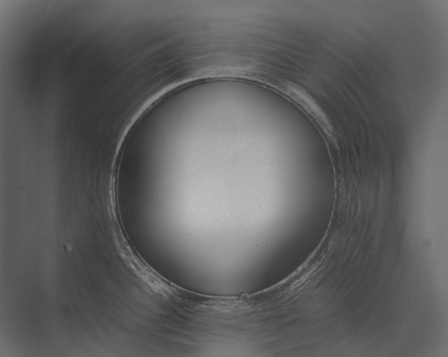 X0000073451340200608181229