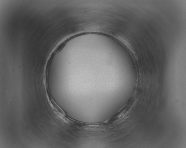 X0000073451342200608181229