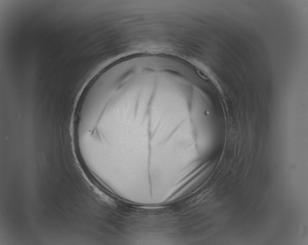 X0000073451343200608181229