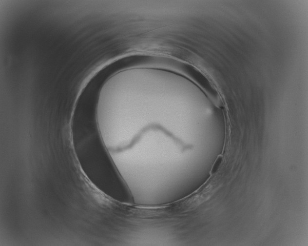 X0000073451344200608181229