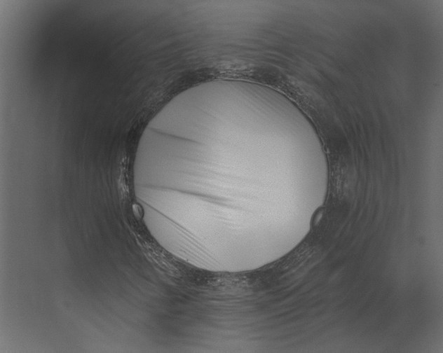 X0000073451346200608181228