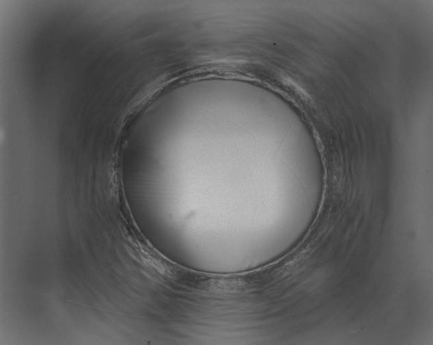 X0000073451354200608181228