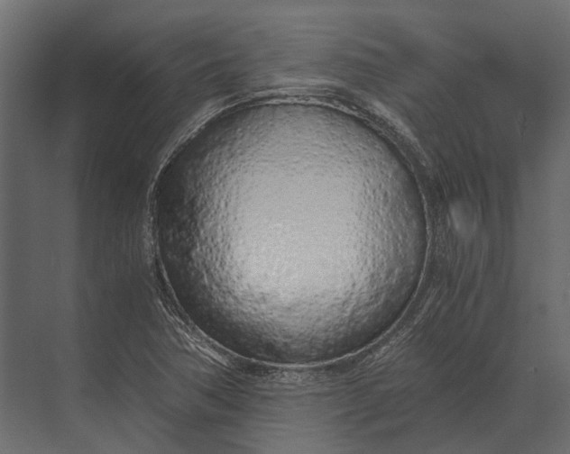 X0000073451362200608181228