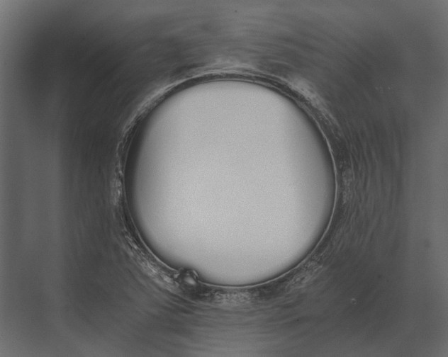 X0000073451363200608181228