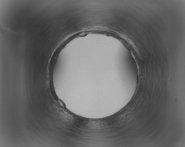 X0000073451364200608181228