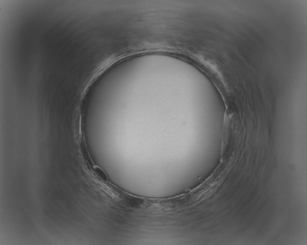 X0000073451365200608181228