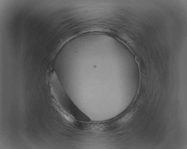 X0000073451369200608181228