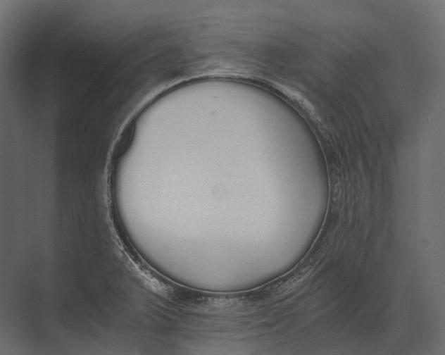 X0000073451375200608181227