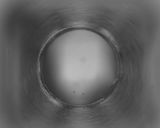 X0000073451376200608181227