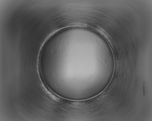 X0000073451379200608181227