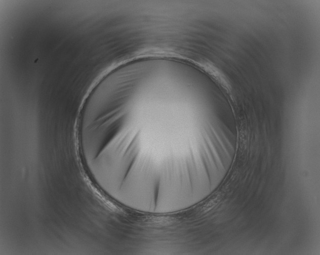 X0000073451382200608181227