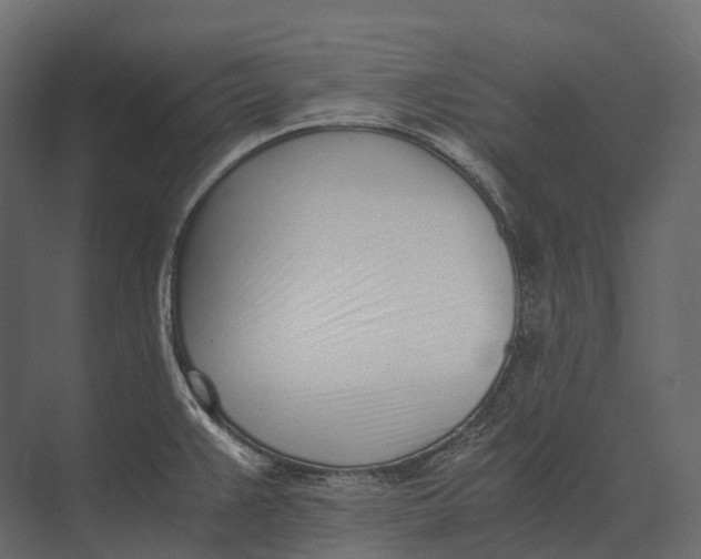 X0000073451383200608181227