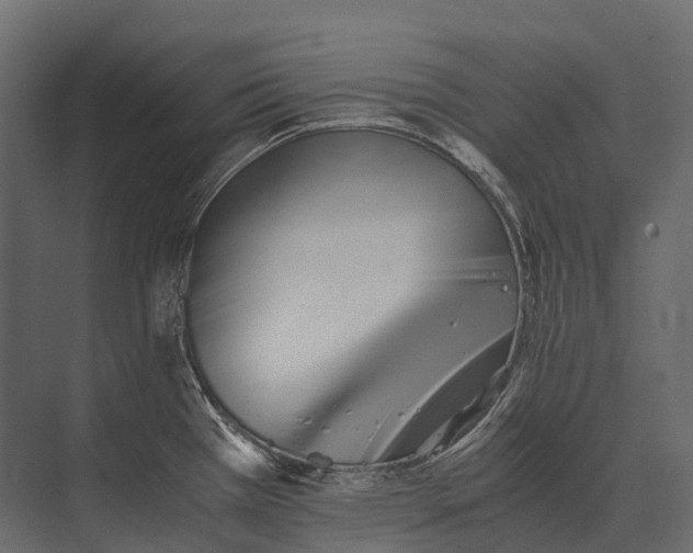 X0000073451385200608181227