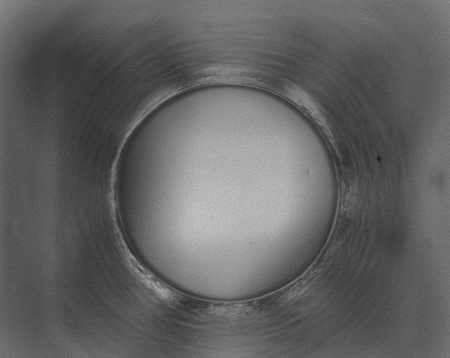 X0000073451386200608181227