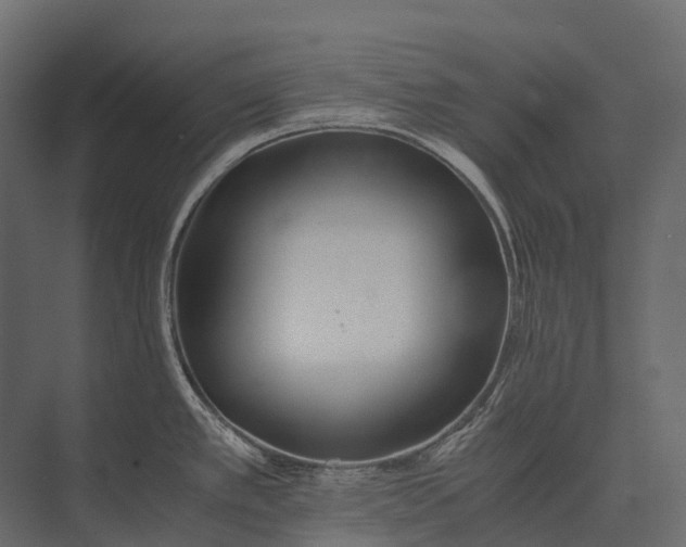 X0000073451389200608181227