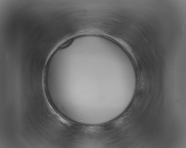 X0000073451390200608181227