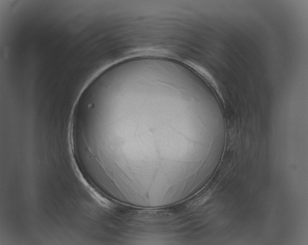 X0000073451391200608181227