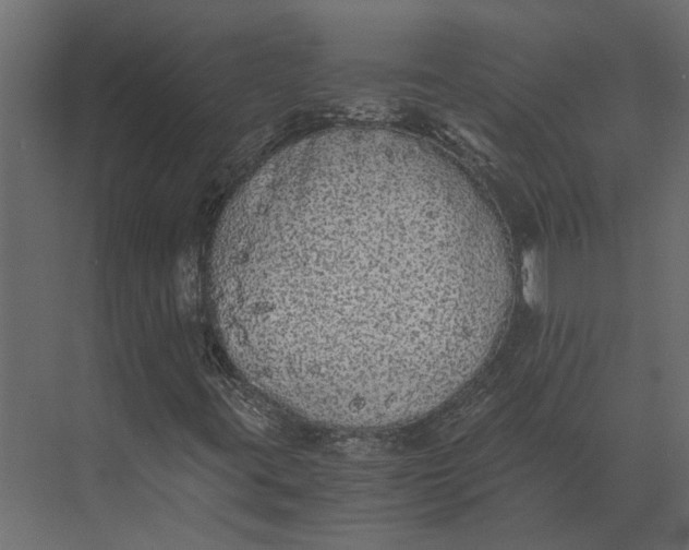 X0000073451395200608181226