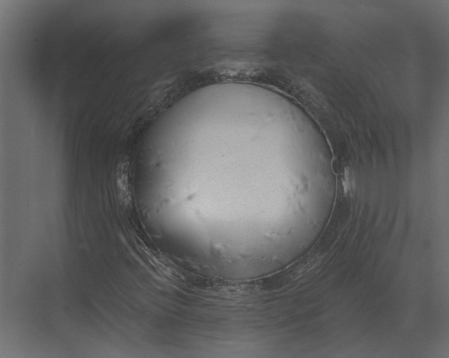 X0000073451396200608181226