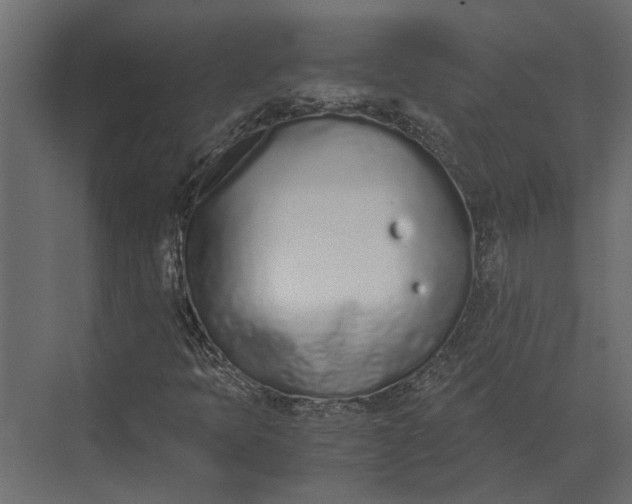 X0000073451397200608181226