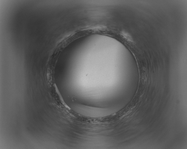 X0000073451398200608181226