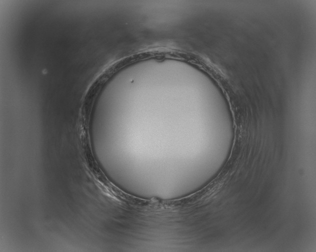 X0000073451400200608181226